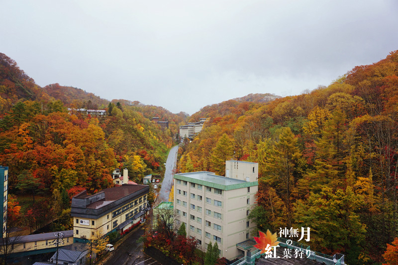 北海道自助遊攻略