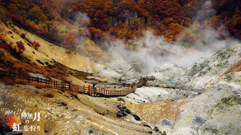 北海道自助遊攻略