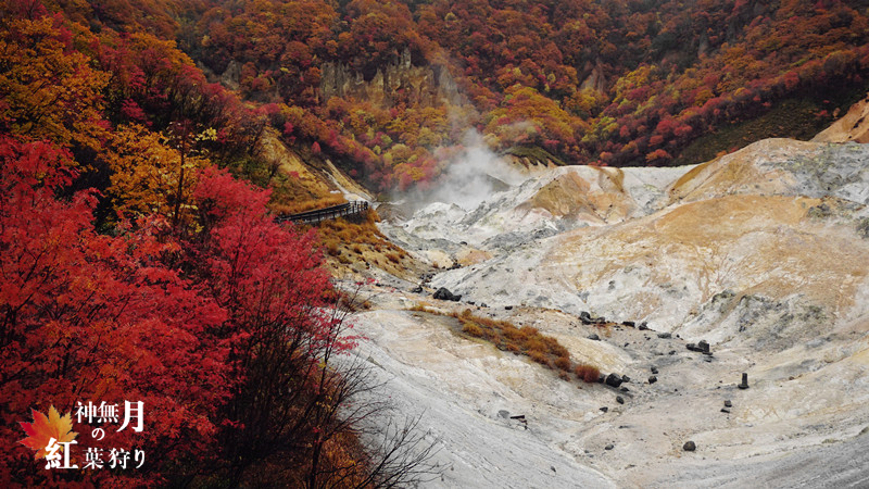 北海道自助遊攻略