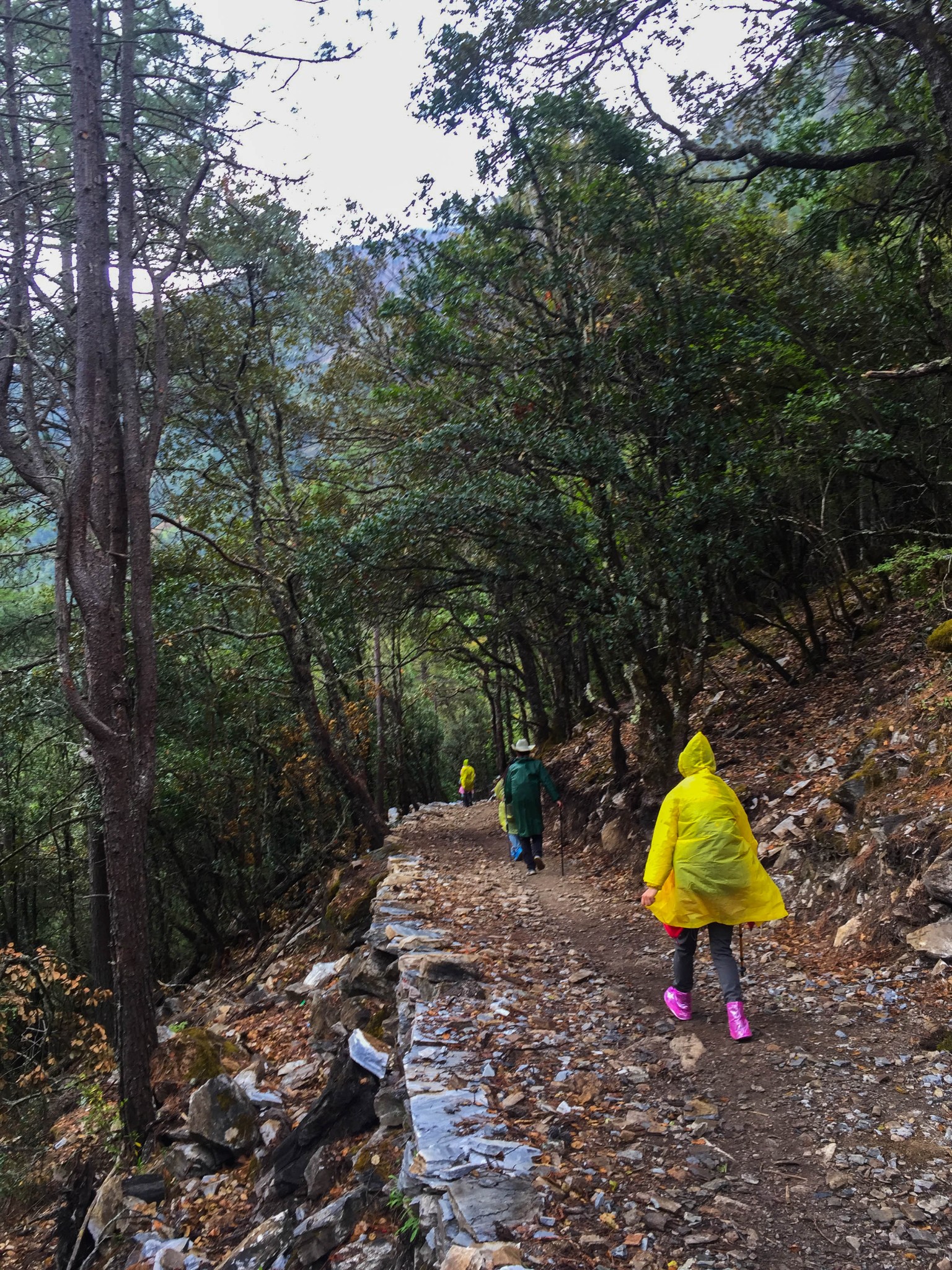 雨崩自助遊攻略