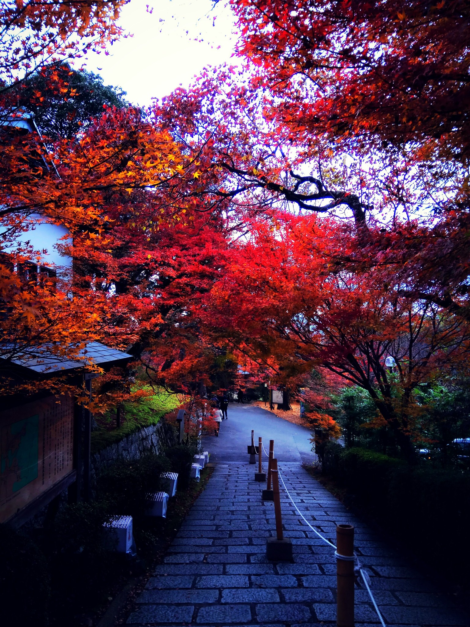 京都自助遊攻略