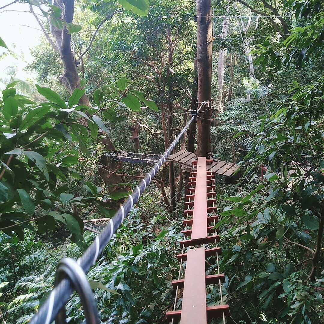 象島自助遊攻略