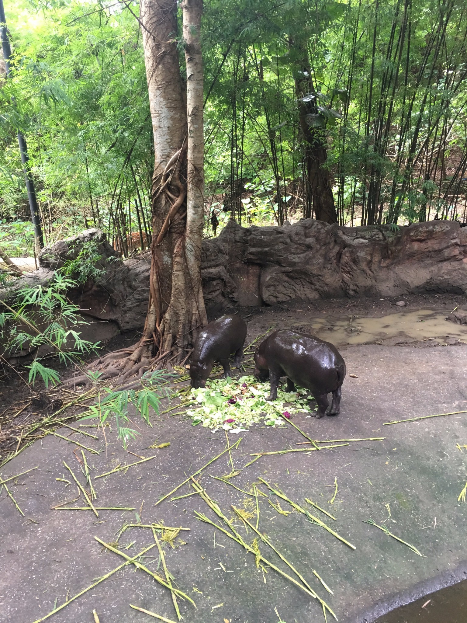 甲米自助遊攻略