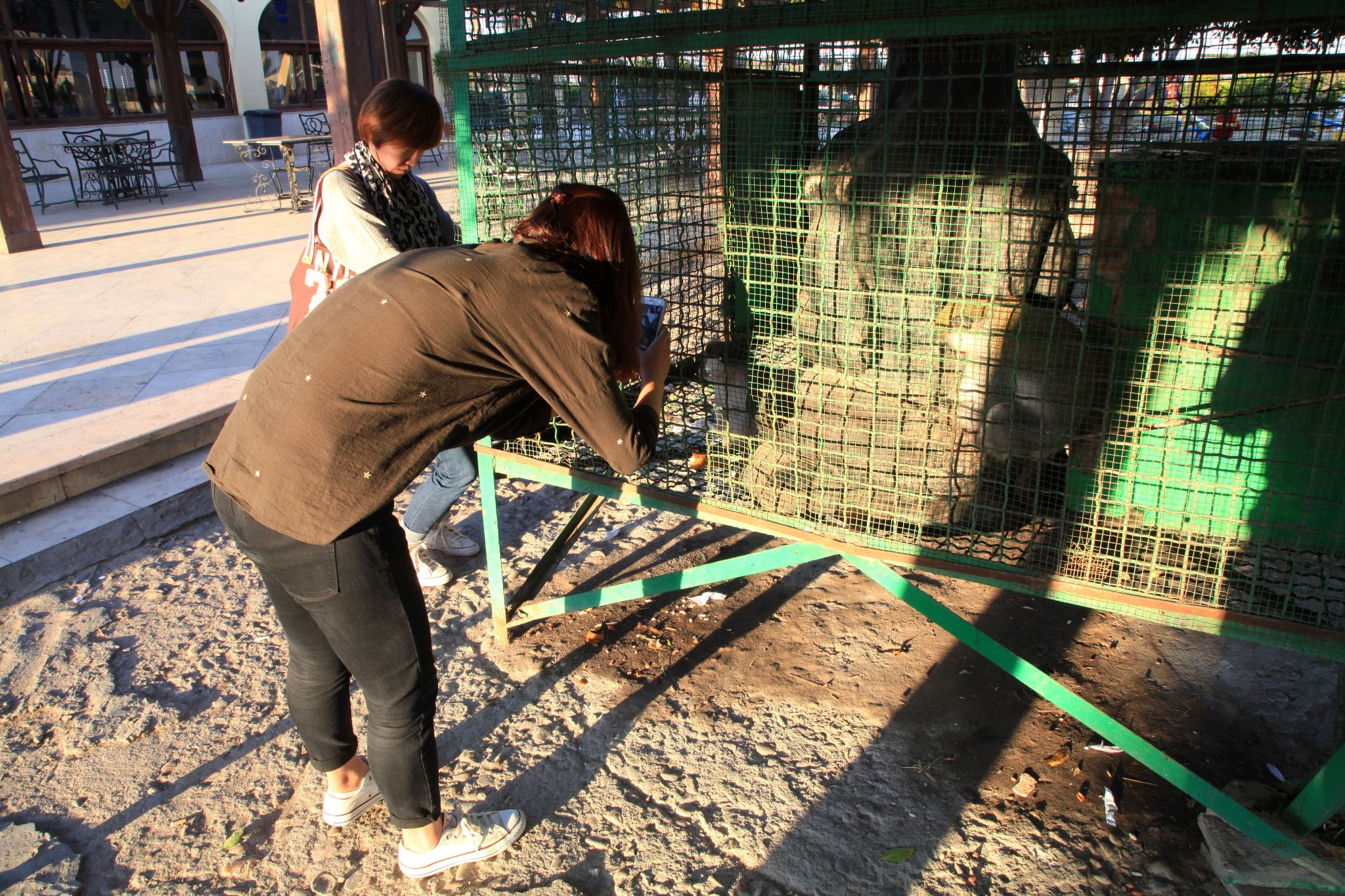 埃及游第六天下蒙塔扎皇宫花园