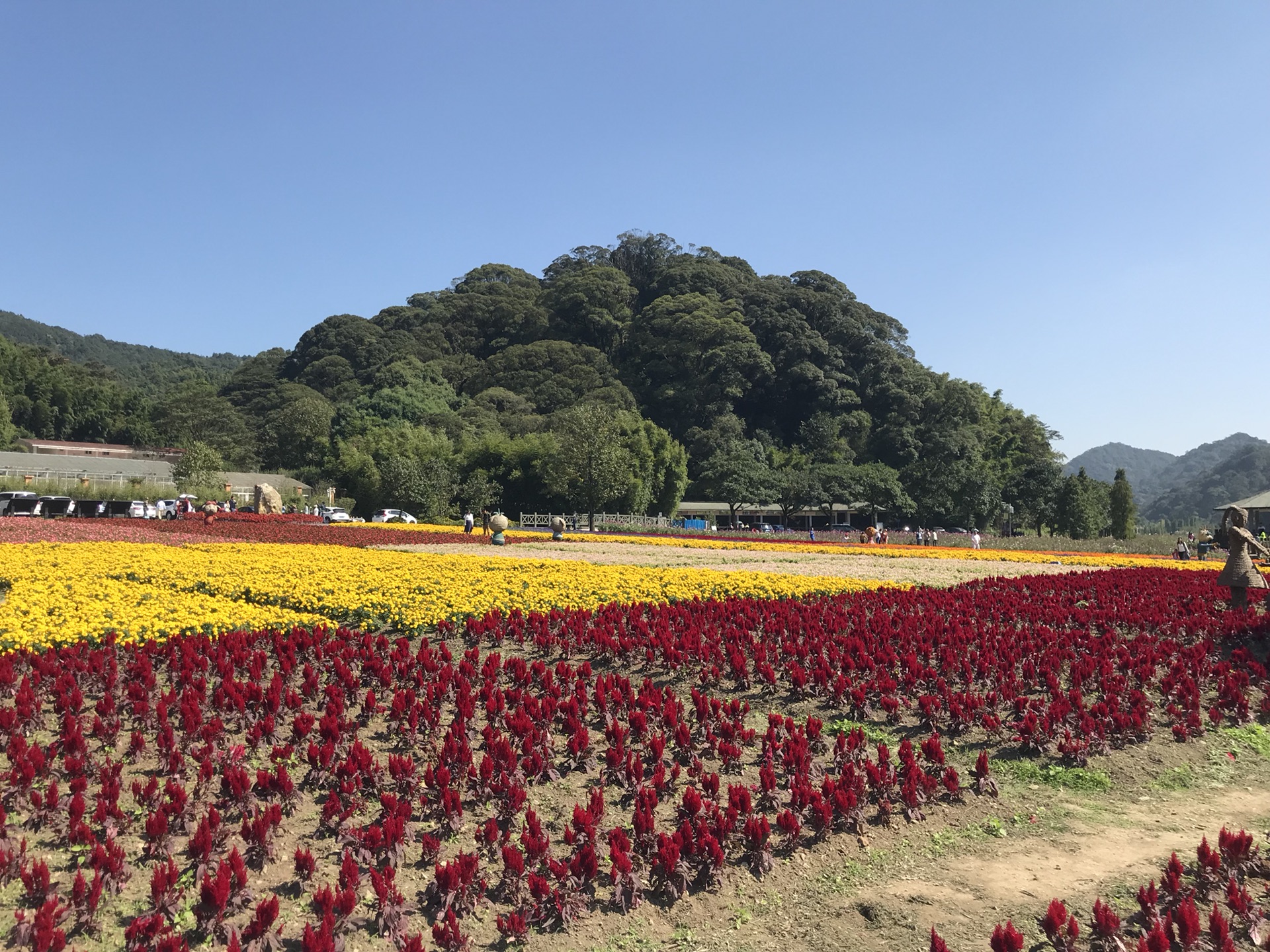 天池七彩絕美花海———石門森林公園61溪頭鄉村,從化自助遊攻略