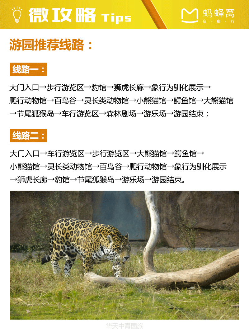 長沙生態動物園1日門票快速出票限時特惠數量有限