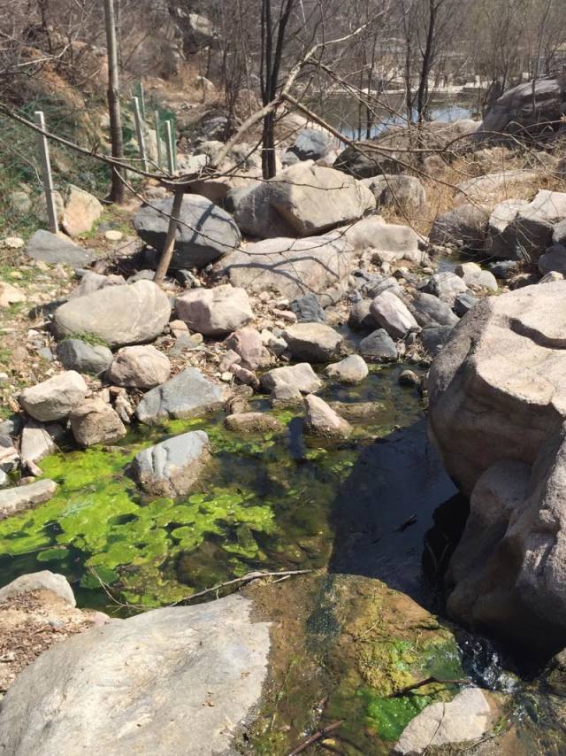 藤龍山 崗南水庫,石家莊旅遊攻略 - 馬蜂窩