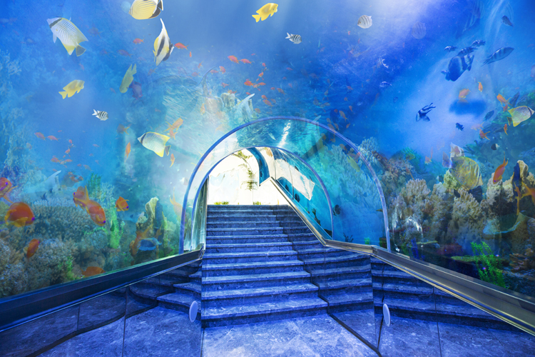 三亚亚龙湾爱立方滨海乐园一日游户外潜水篝火晚会海鲜龙虾宴香蕉船