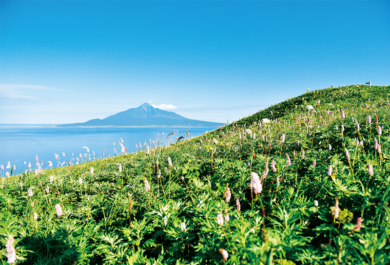 北海道自助遊攻略