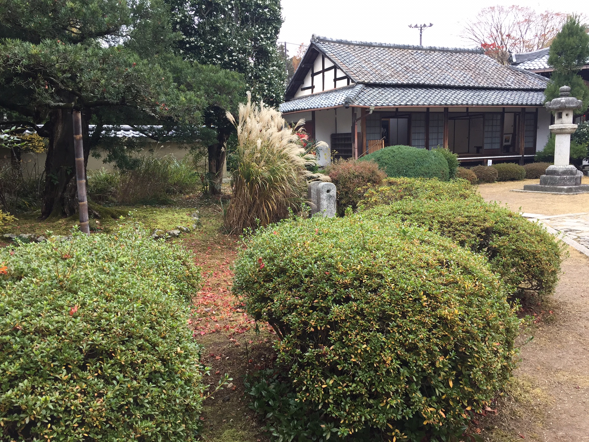 京都自助遊攻略