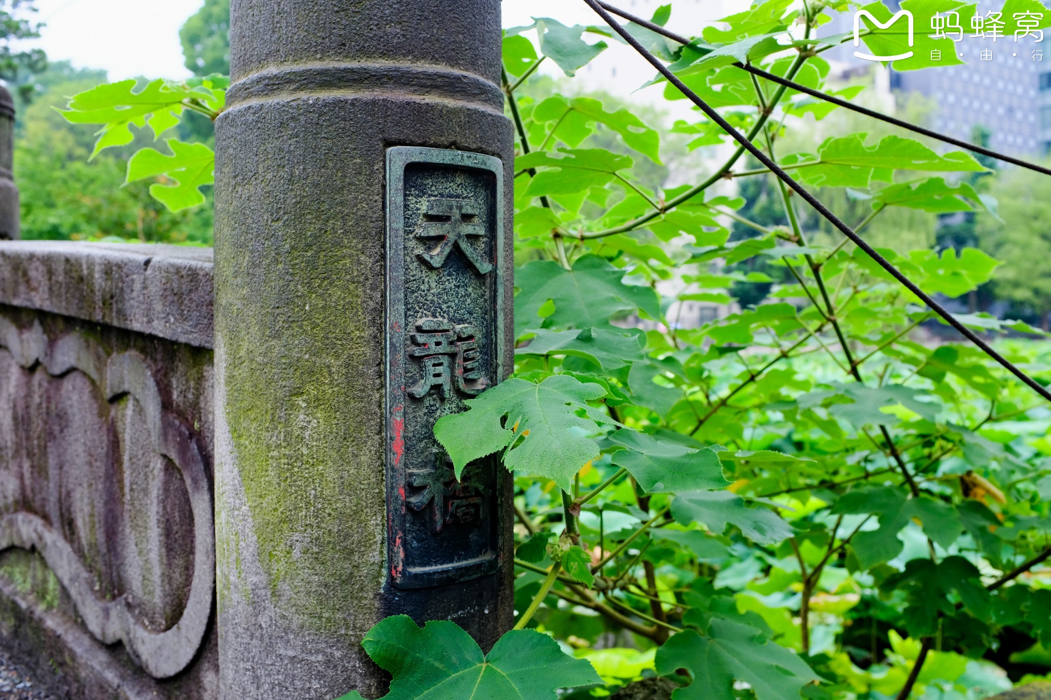 東京自助遊攻略