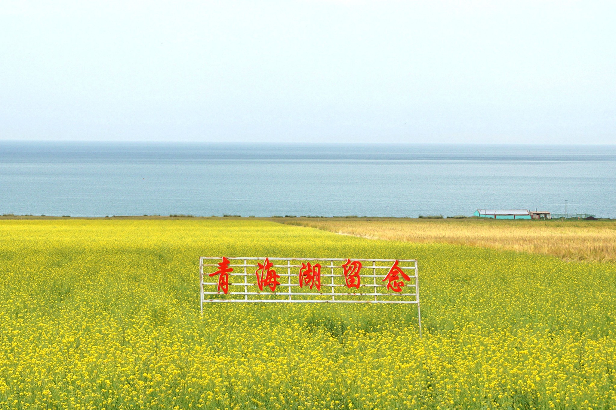 青海湖自助遊攻略