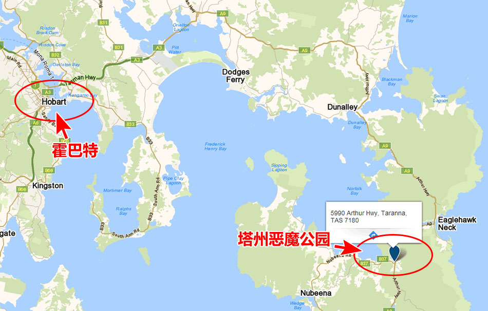 这个迷人的小恶魔~塔斯马尼亚 塔斯曼半岛 亚瑟港 塔州恶魔动物园门票