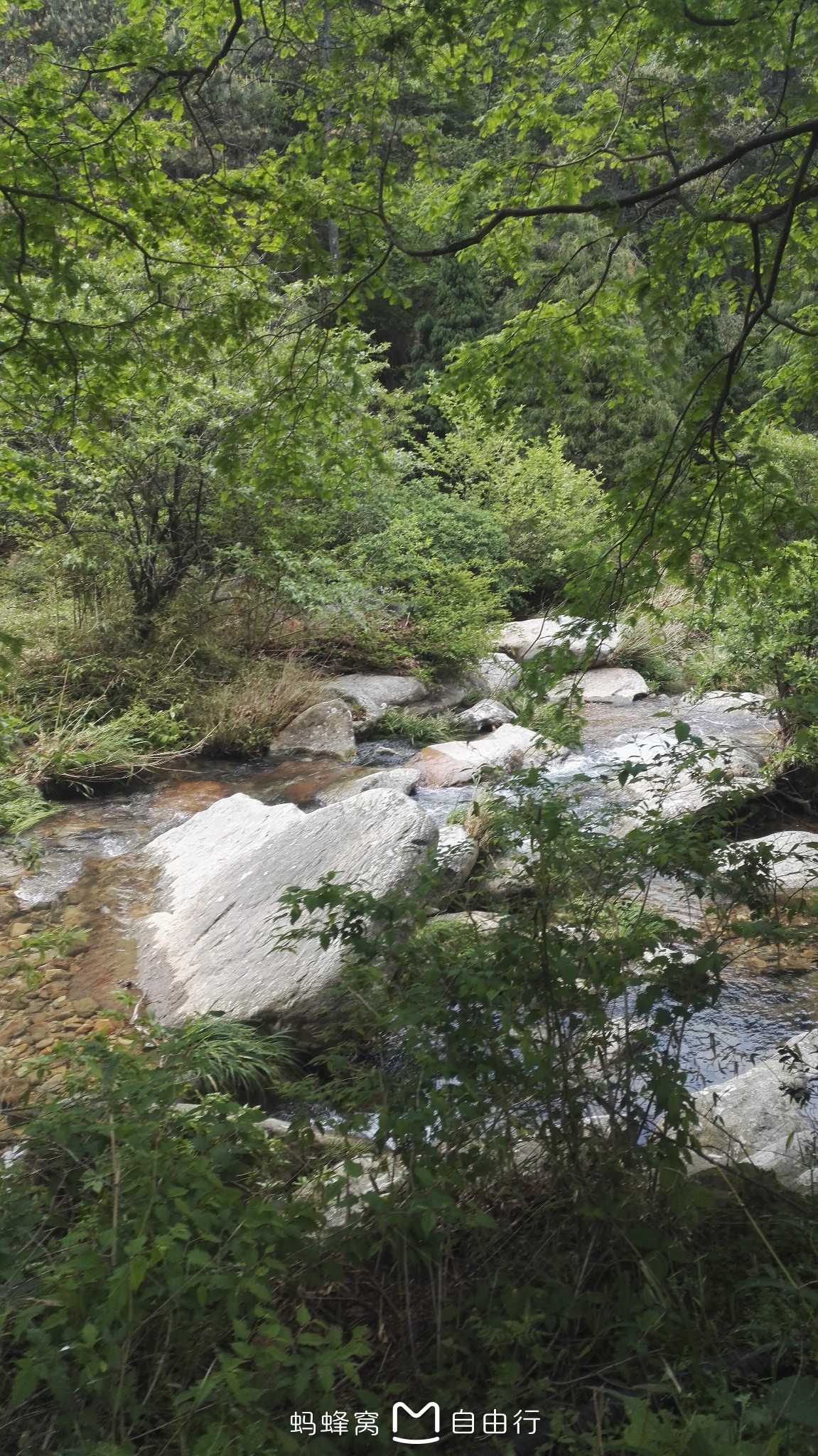 廬山自助遊攻略