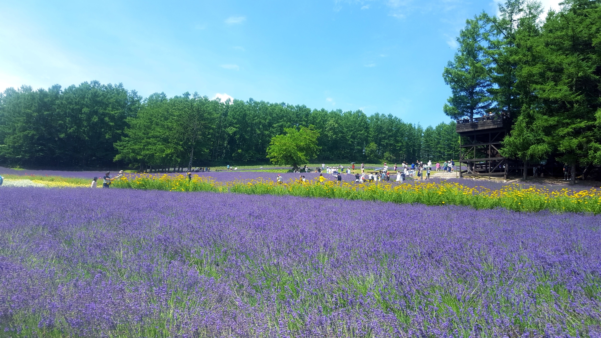 北海道自助遊攻略