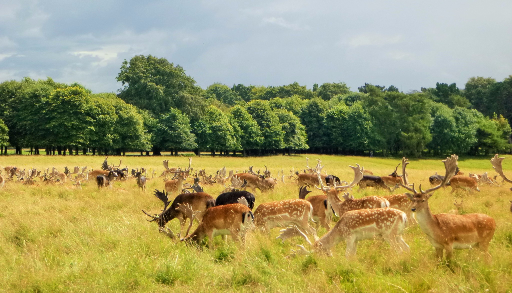 爱尔兰都柏林5日游,带你逛遍人间烟火和绝色风光!