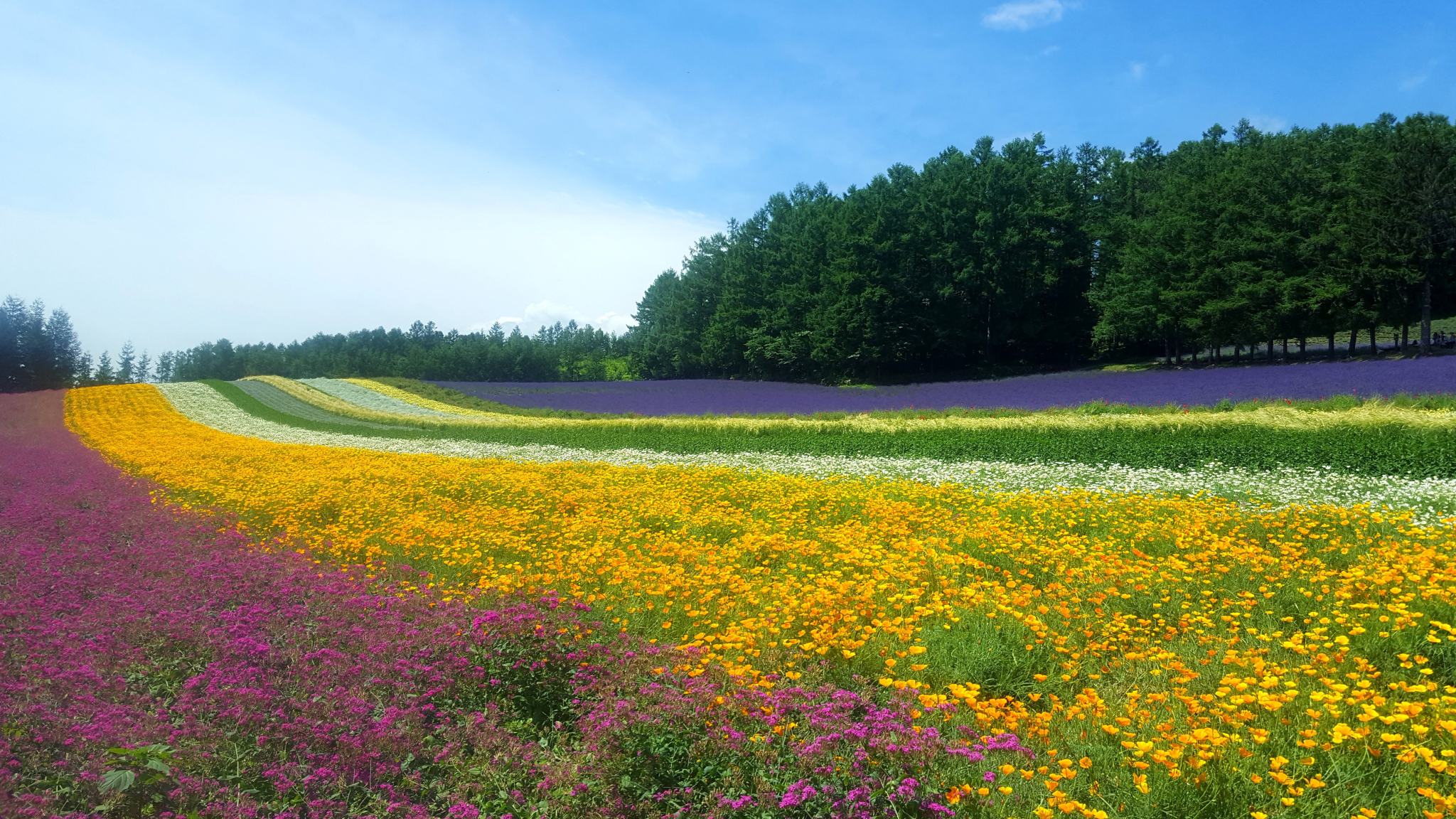 北海道自助遊攻略