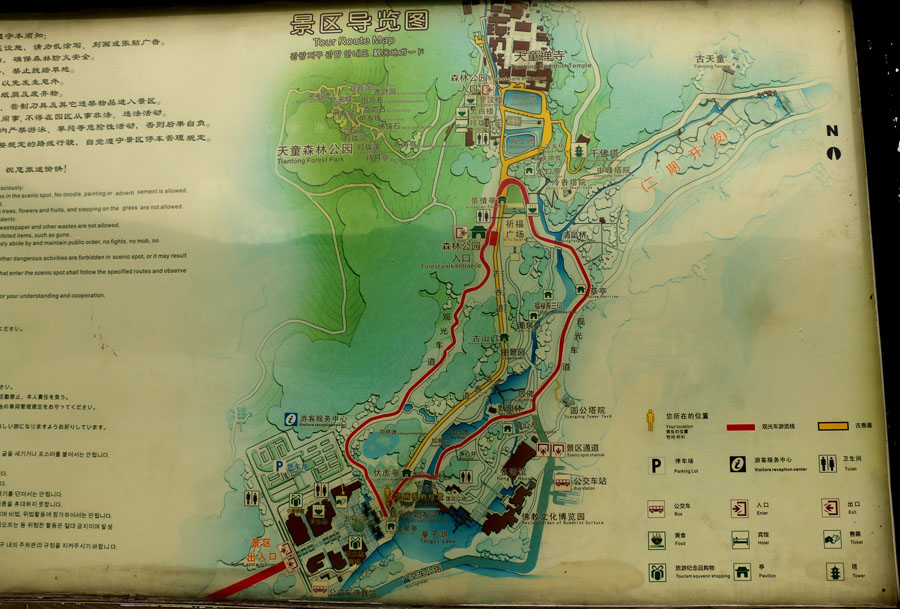 也比想象的要大许多,主要由天童寺和天童森林公园组成.