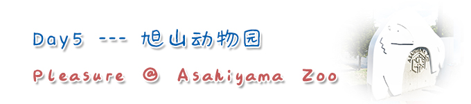 北海道自助遊攻略