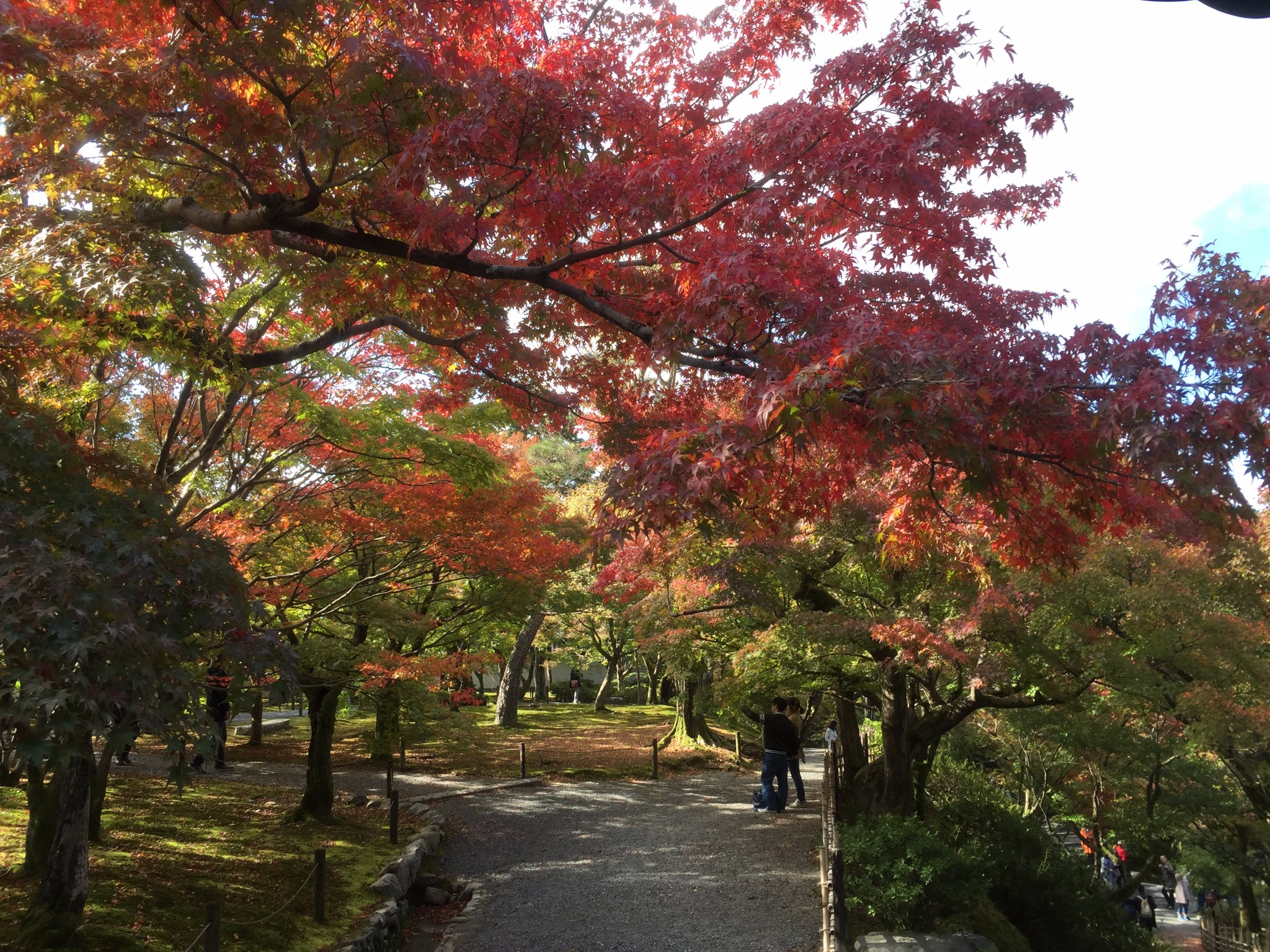 京都自助遊攻略