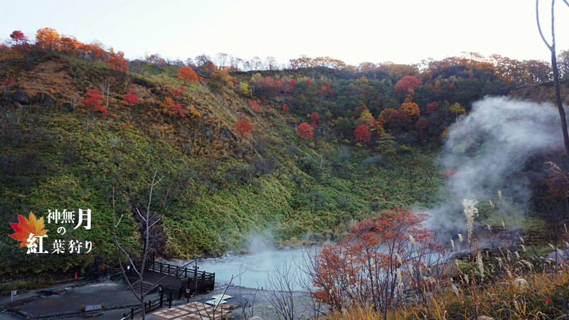 北海道自助遊攻略