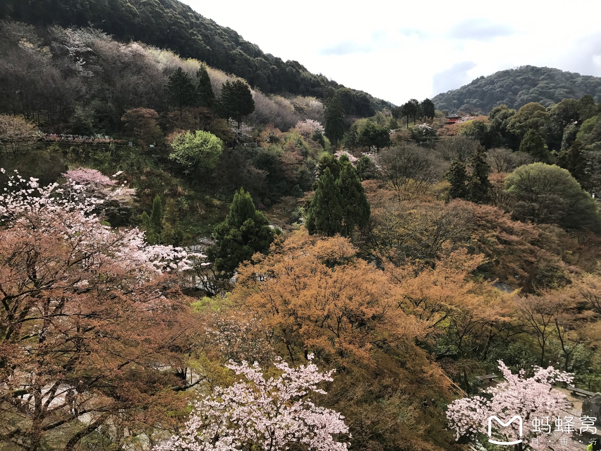 日本自助遊攻略