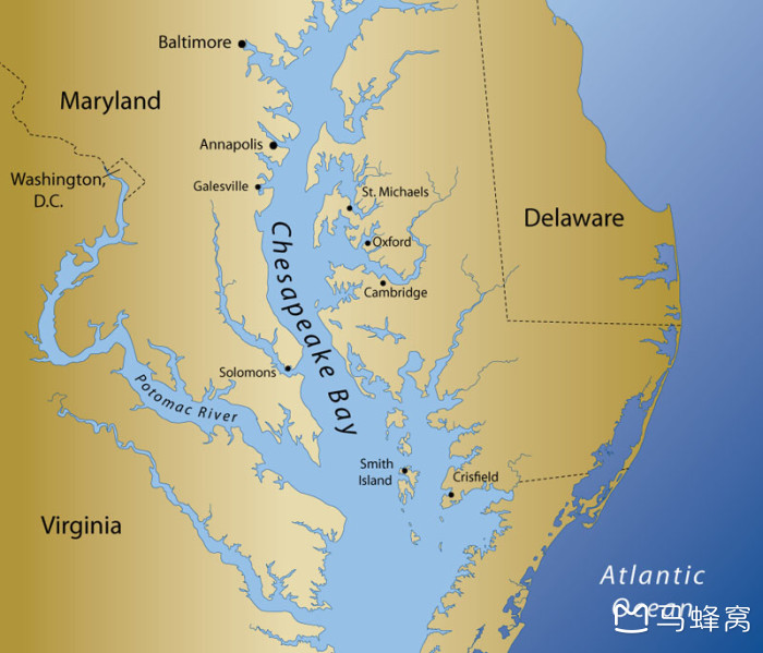 华盛顿周边有哪些超棒的自然美景值得一去怎么去