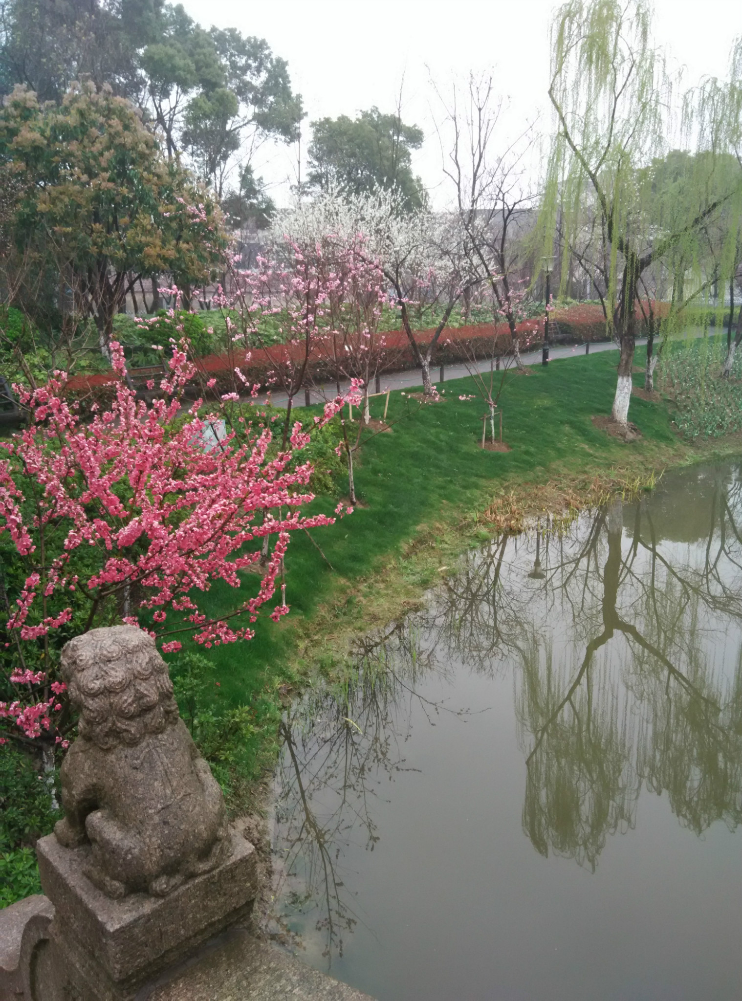 最美常州---尋找夢中的桃花源之圩墩公園,常州自助遊攻略 - 馬蜂窩