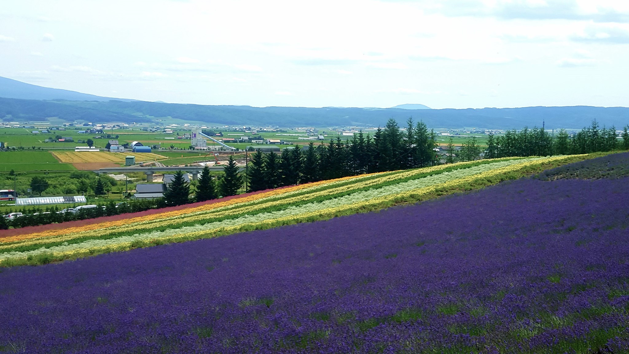 北海道自助遊攻略