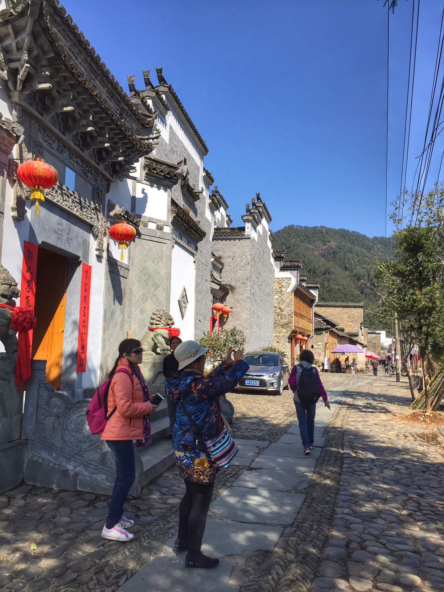 花香村纯山秀春色