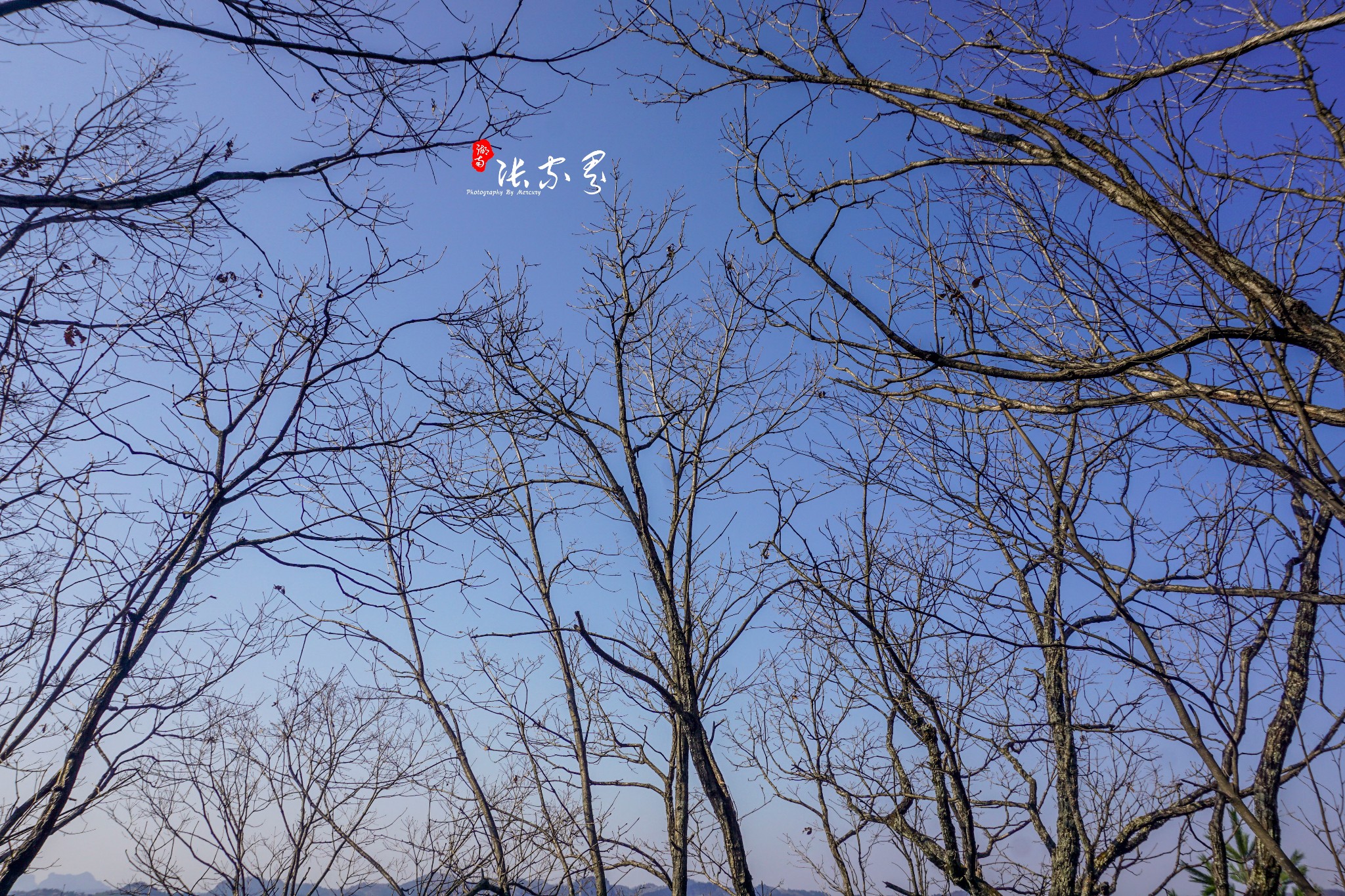 天子山