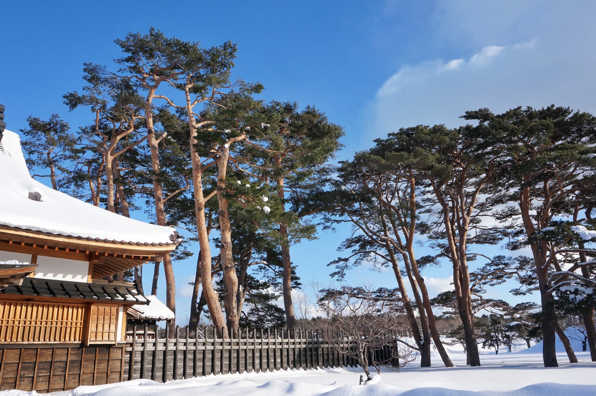 北海道自助遊攻略