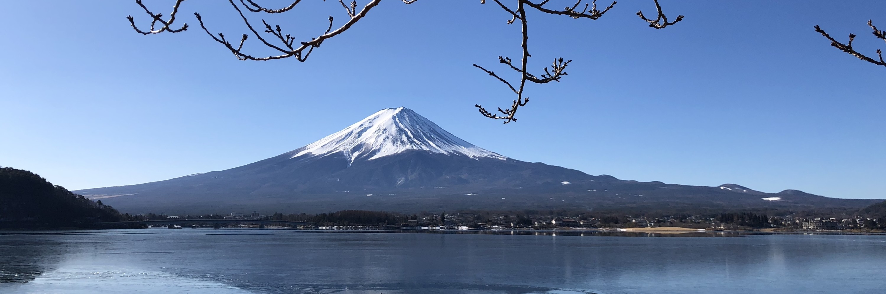 冰儿在日本 冬季去富士山和伊豆半岛 追寻伊豆舞女的 本州旅游攻略 马蜂窝