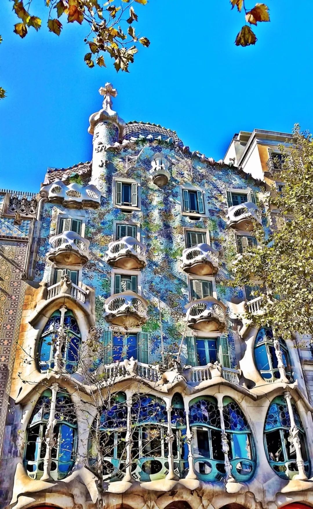 周五1:32pm巴特罗公寓