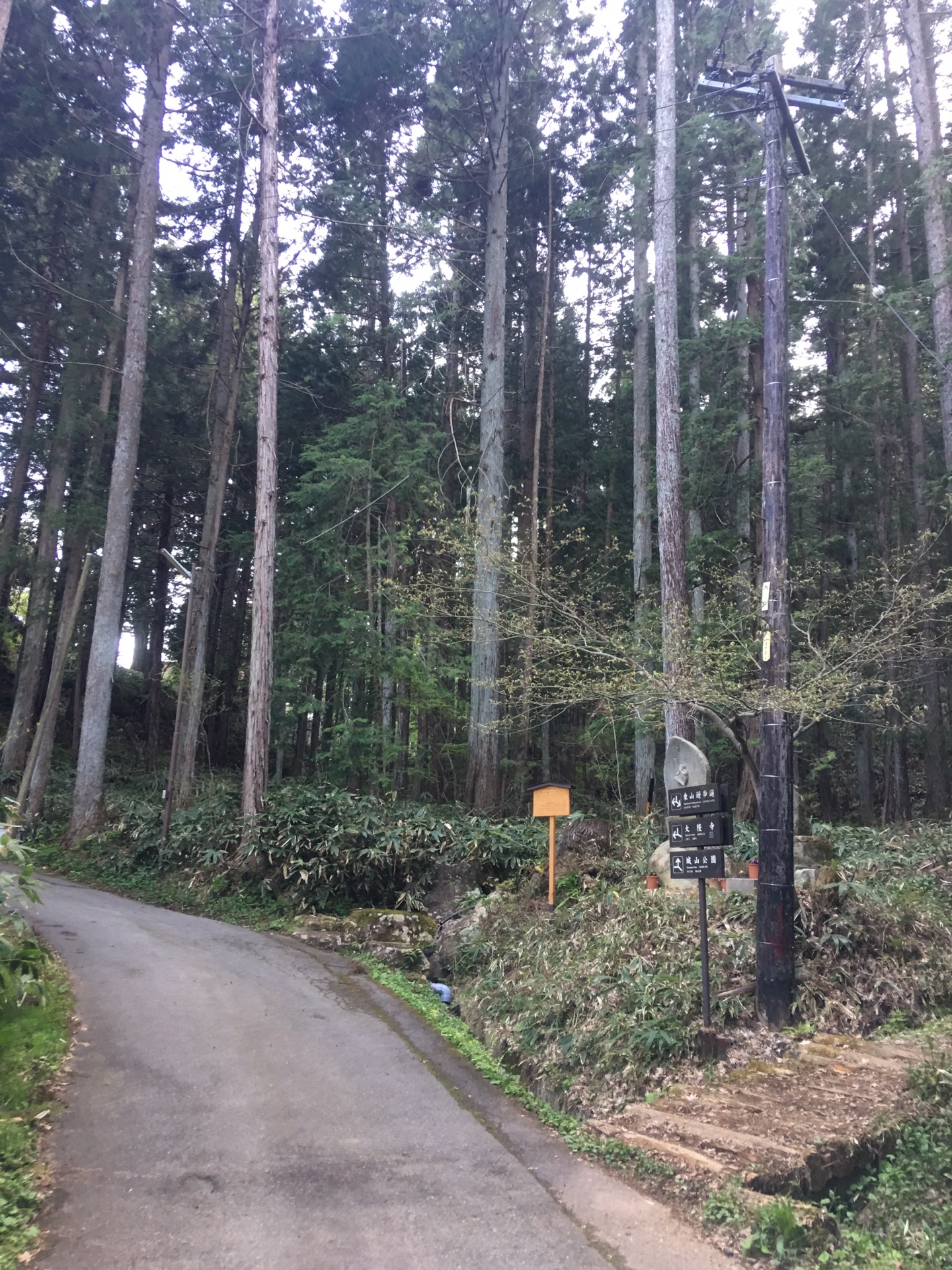 名古屋自助遊攻略