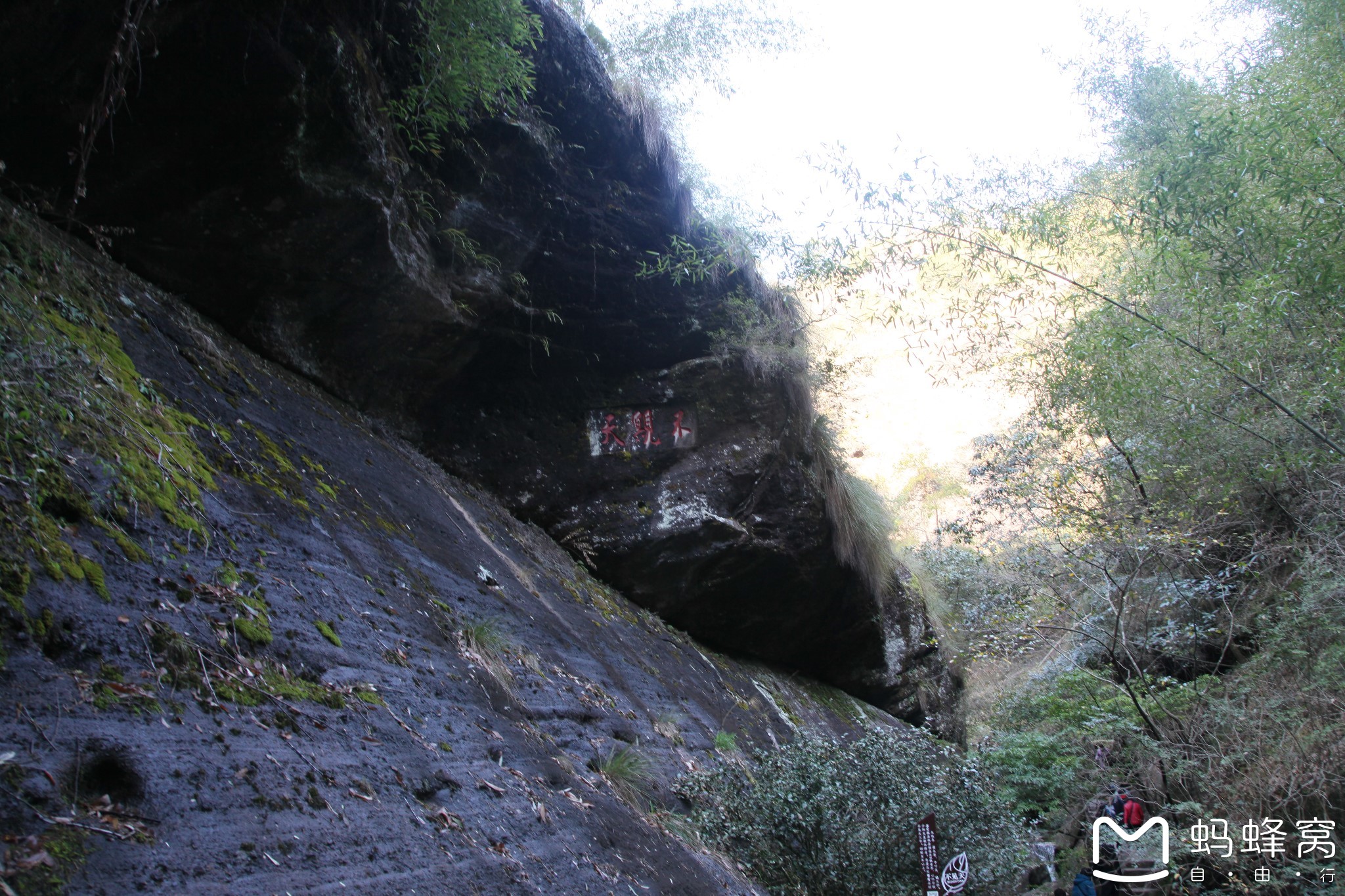 武夷山自助遊攻略