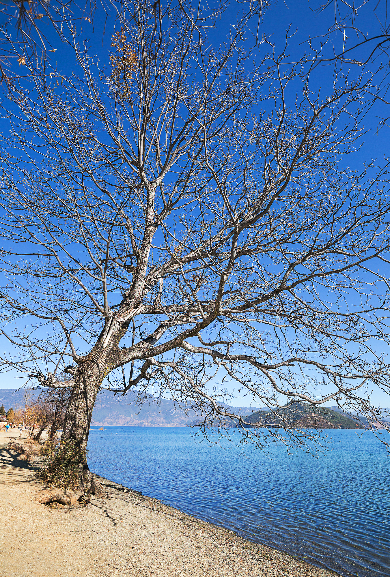 瀘沽湖自助遊攻略