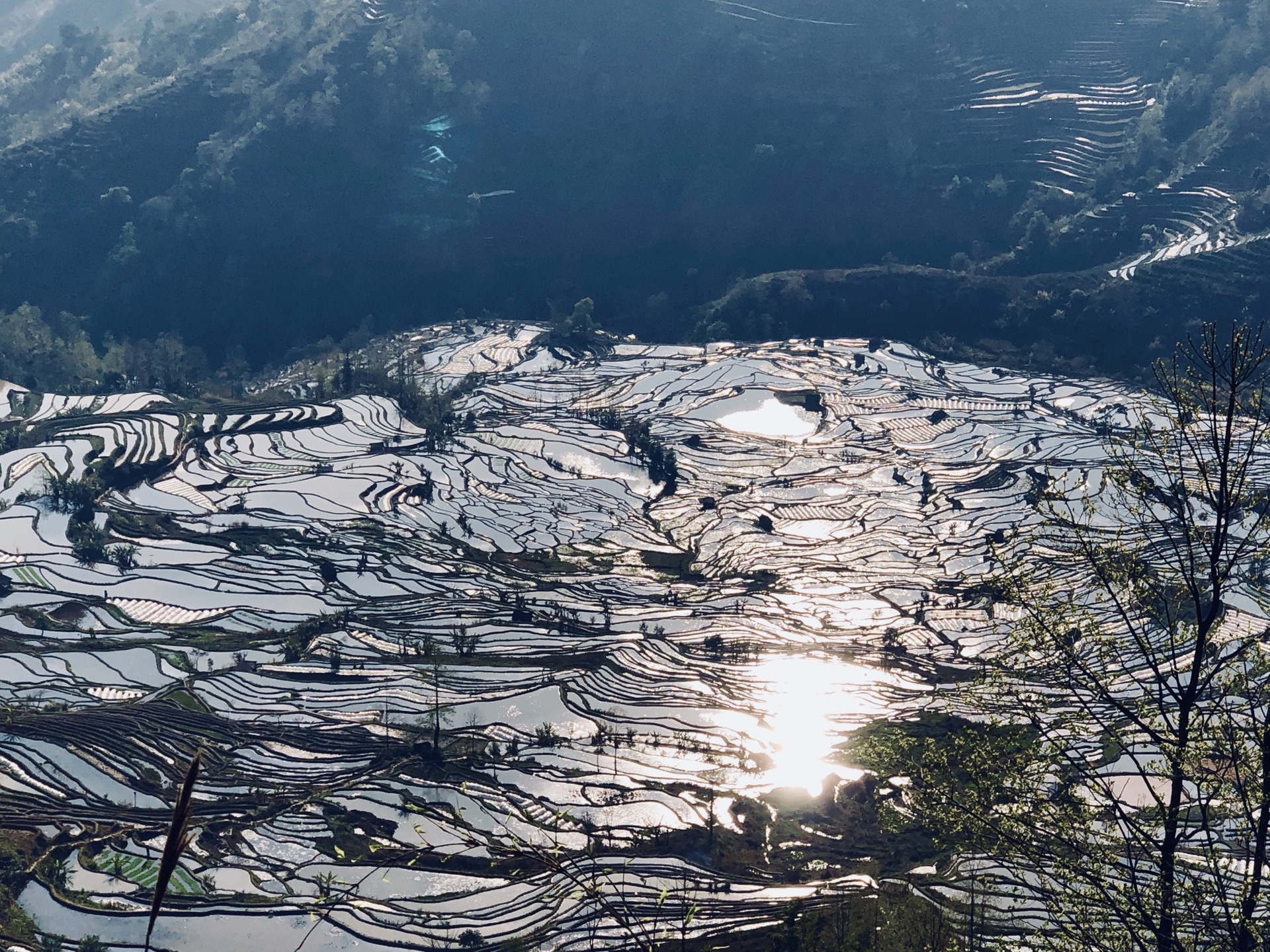 雲南自助遊攻略