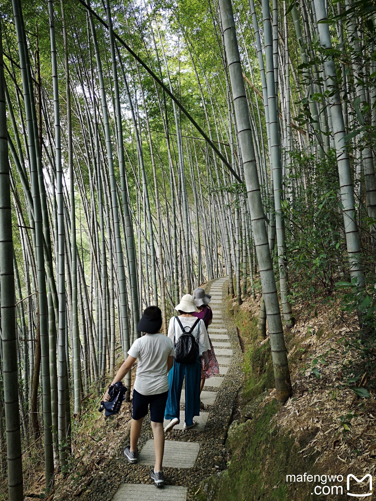 三清山自助遊攻略