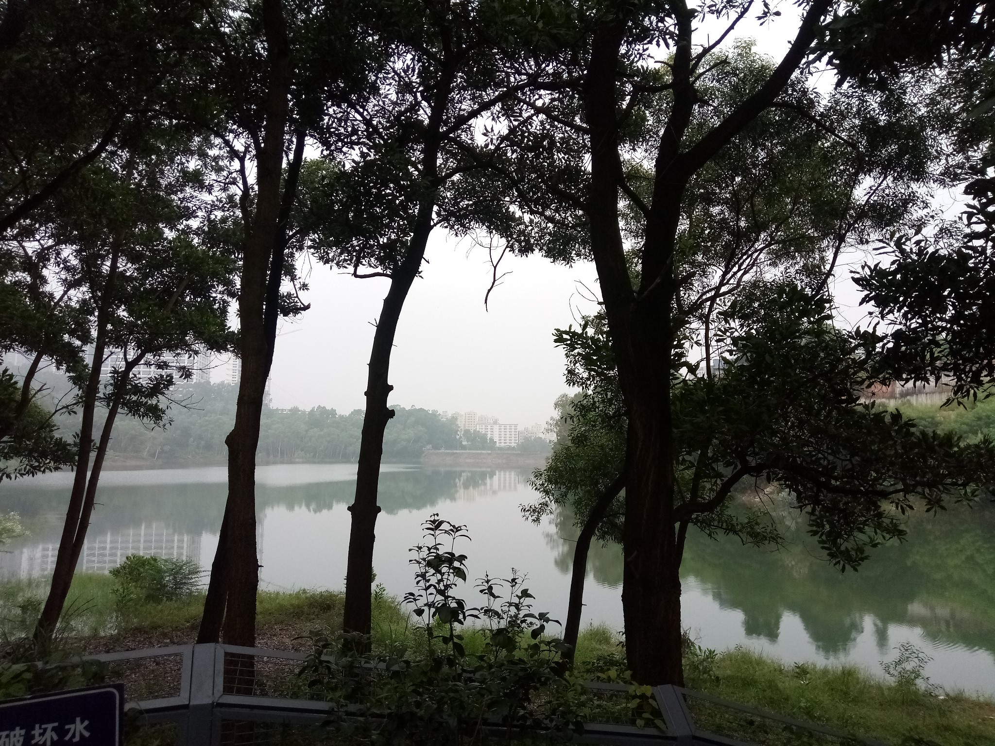 闲走深圳之银湖山4:南坑水库,深圳自助游攻略 - 马蜂窝