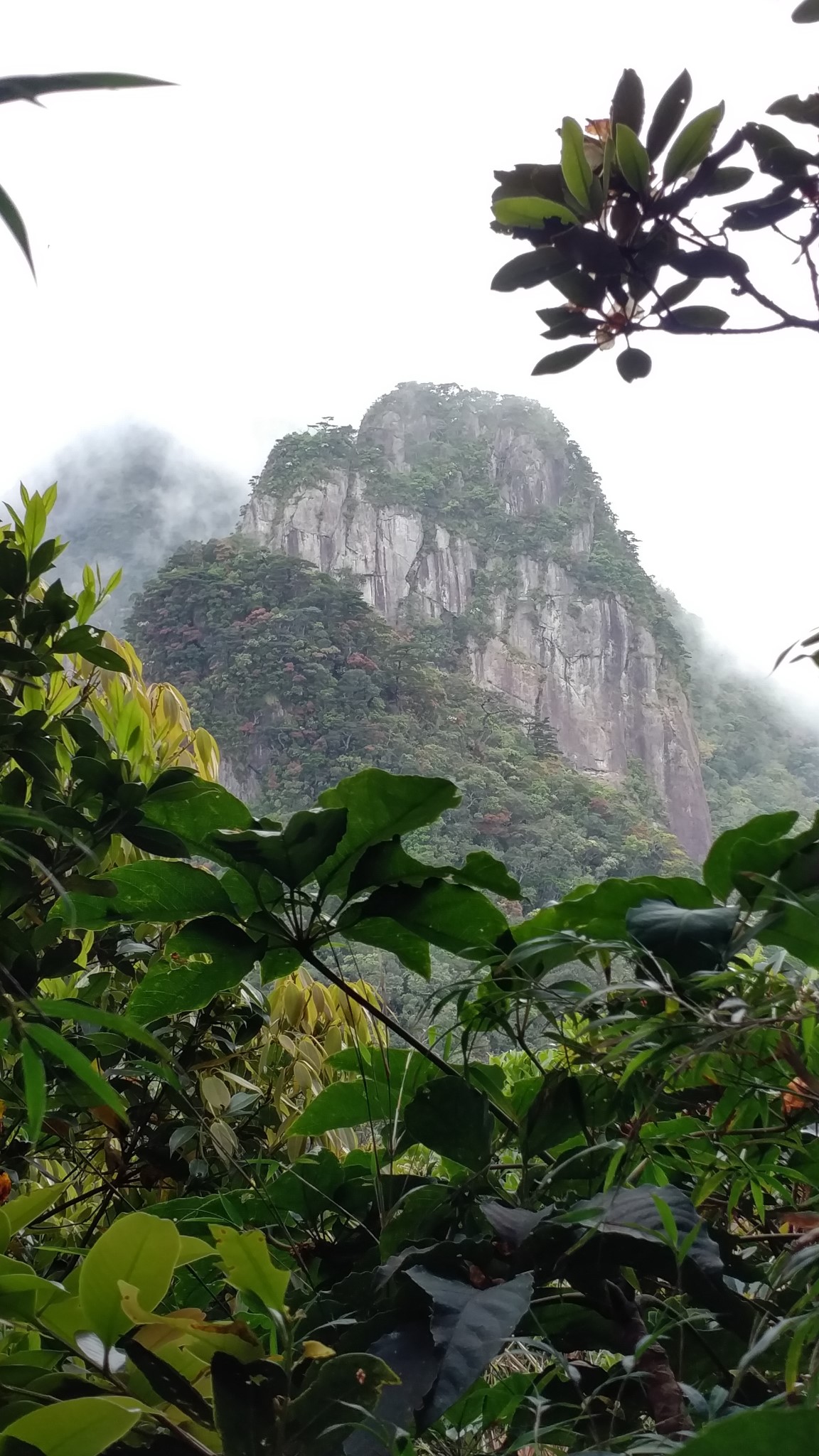 海南五指山国家级热带森山老林自然保护区4天3夜西进东出跨县市深度