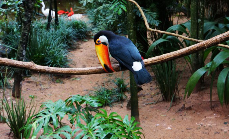 巴西 阿根廷两国13日游(赠乌拉圭一日游 伊瓜苏瀑布两边看 玛瑙斯包船