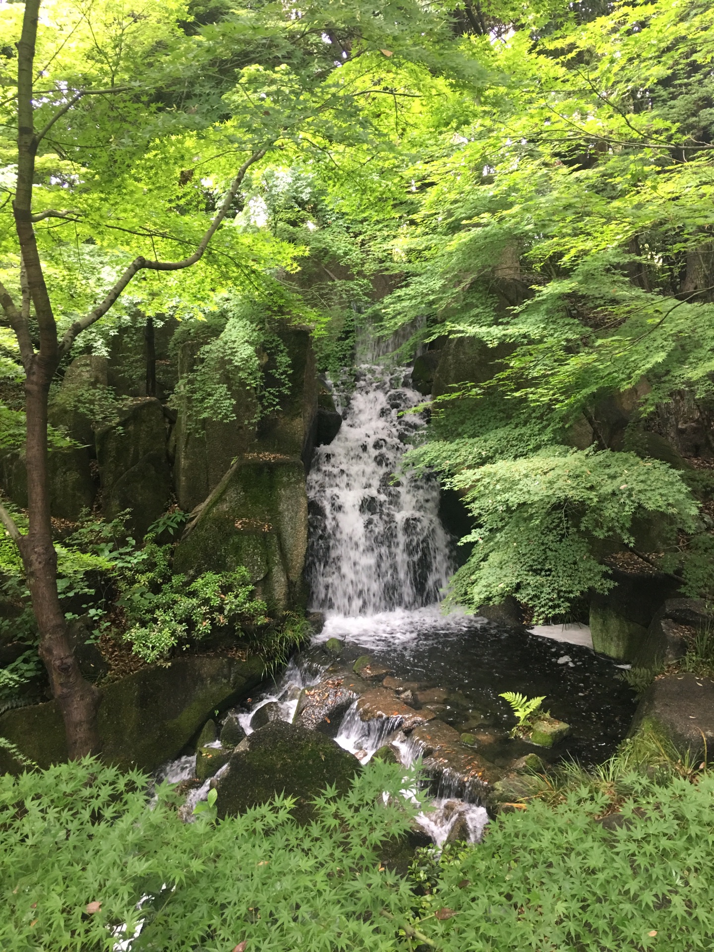 名古屋自助遊攻略