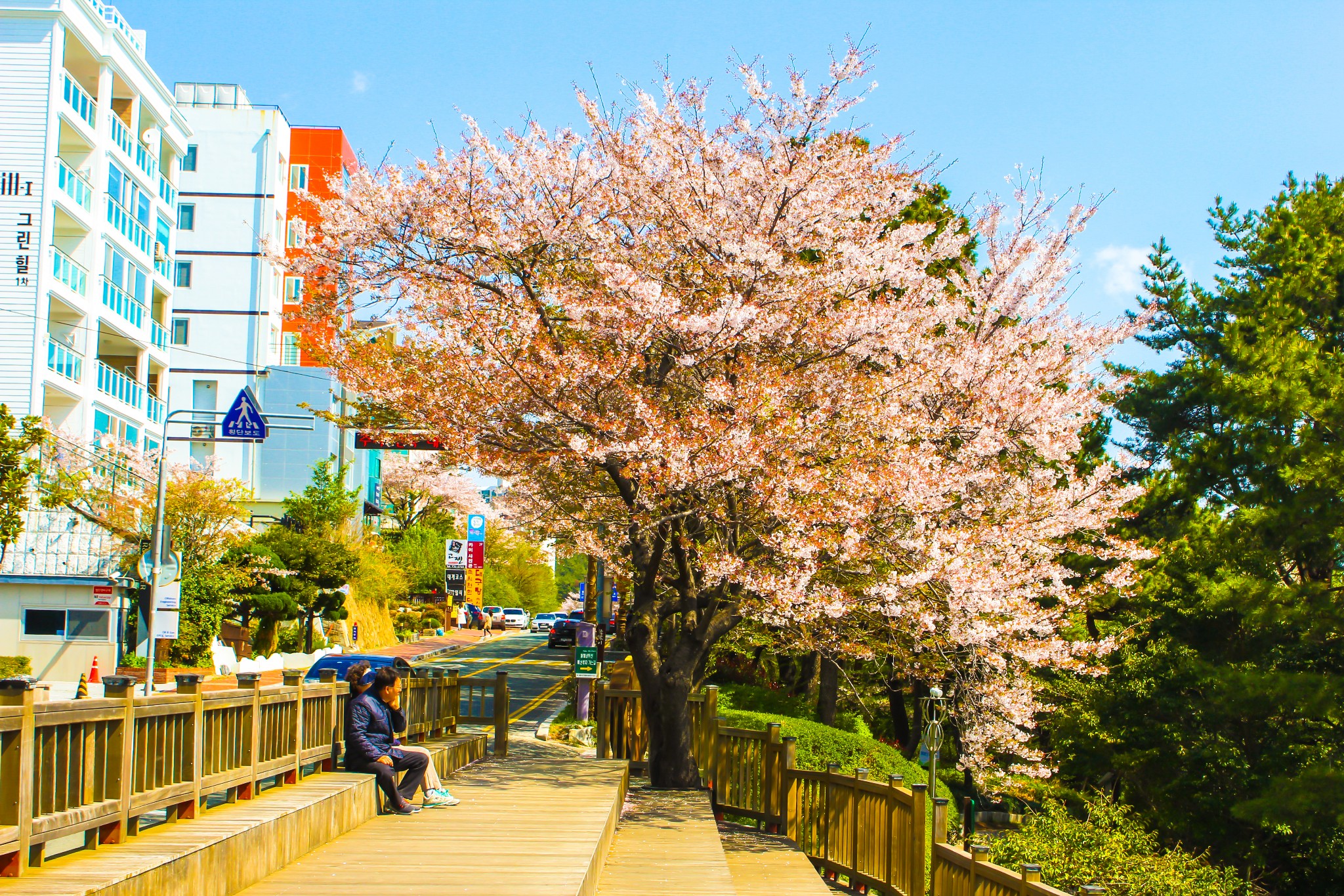 釜山自助遊攻略