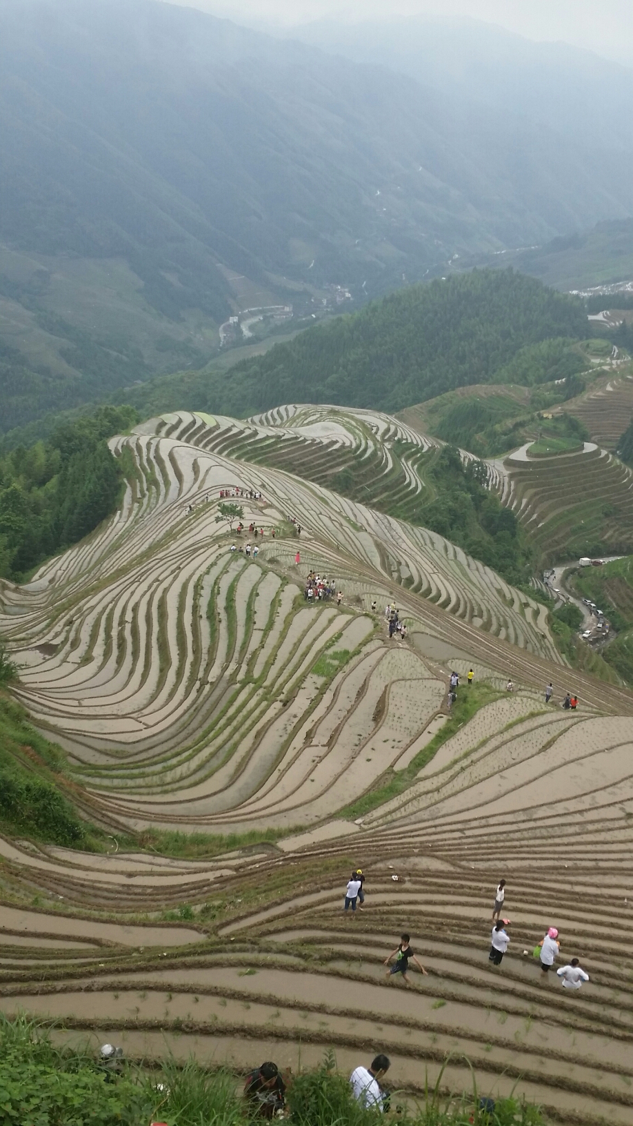 龍脊梯田自助遊攻略