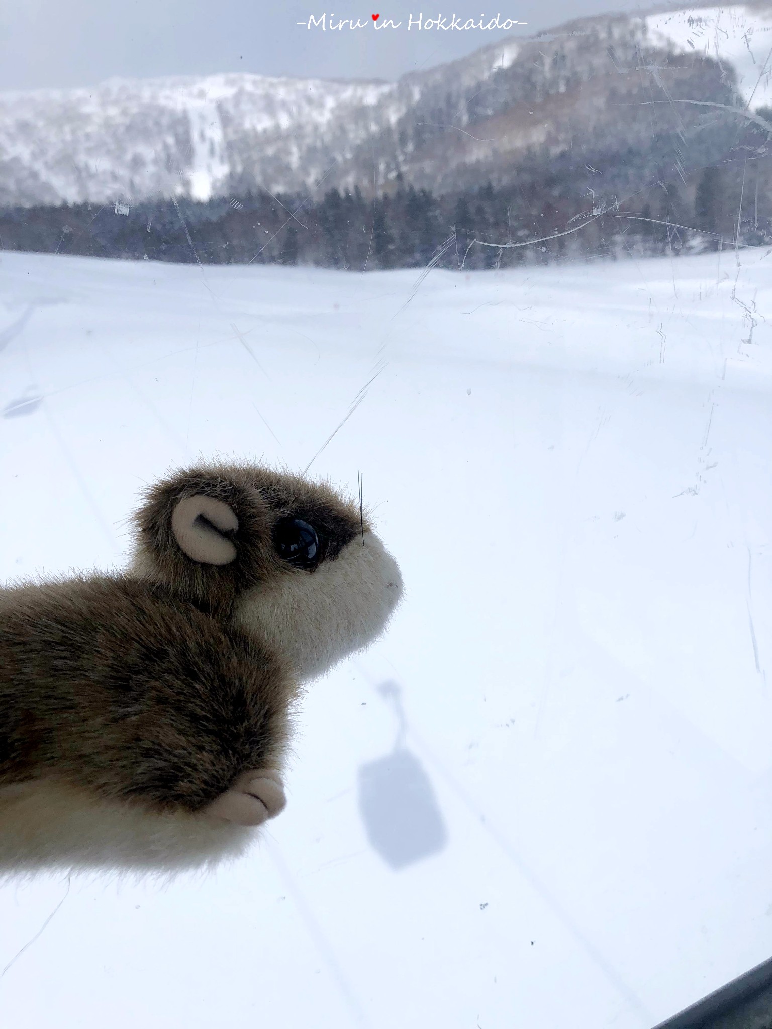 北海道自助遊攻略