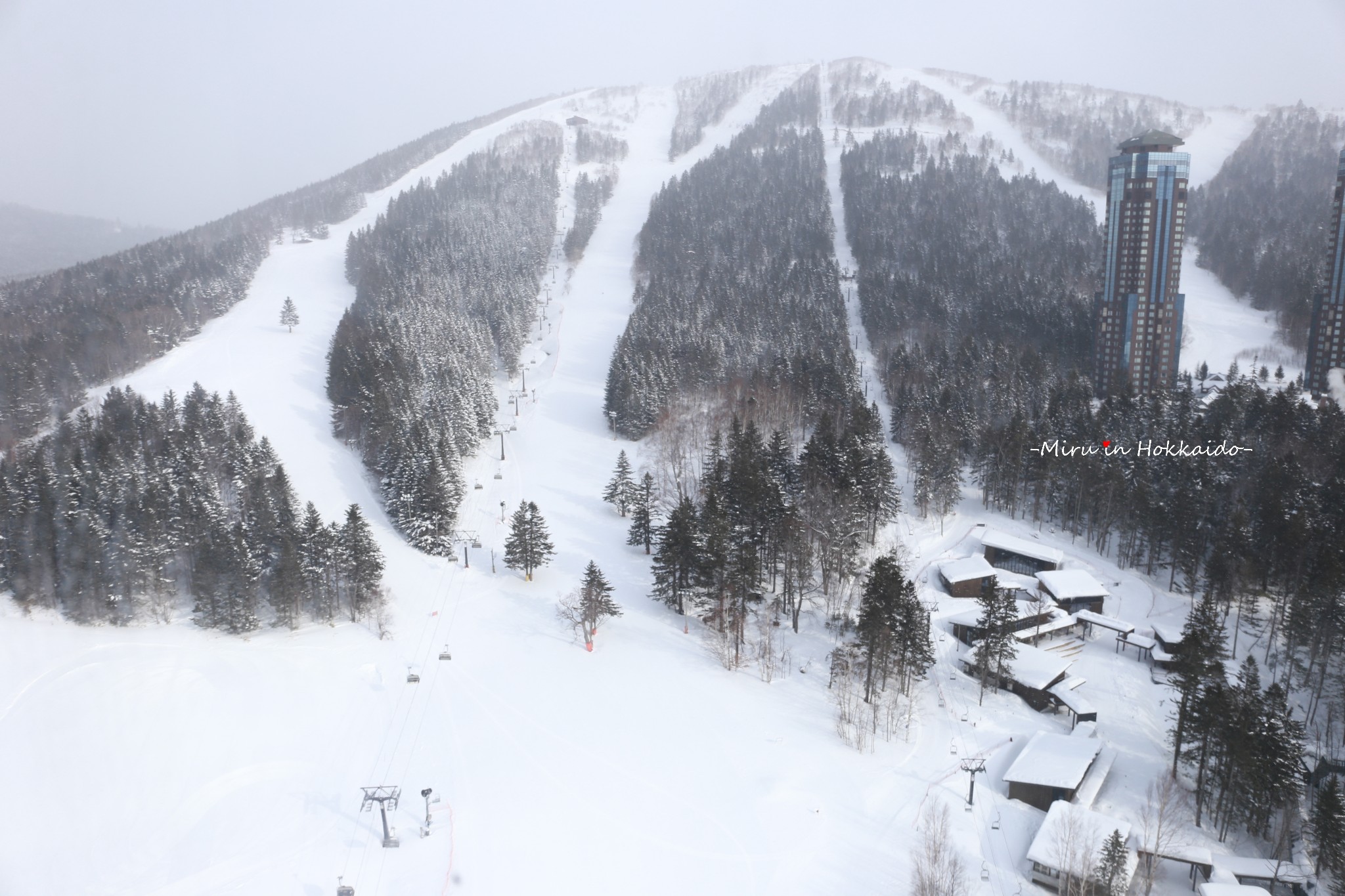 北海道自助遊攻略