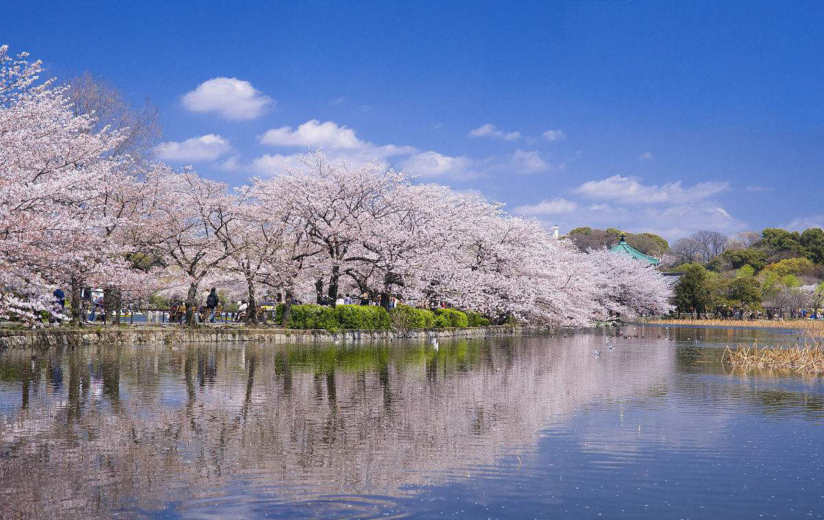 东京普拉达(青山店)游记, 普拉达(青山店)旅游攻略, 普拉达(青山店)