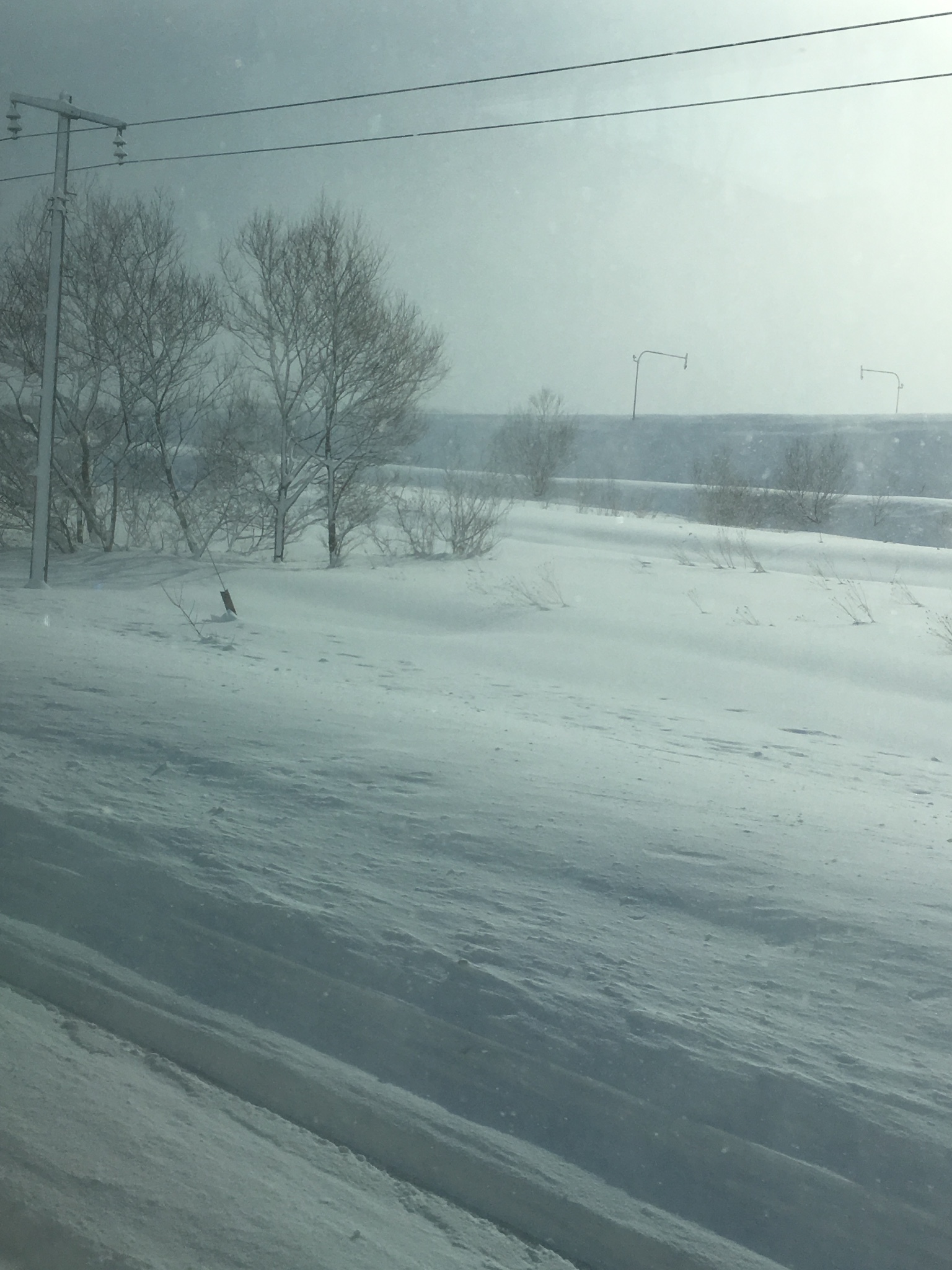 北海道自助遊攻略