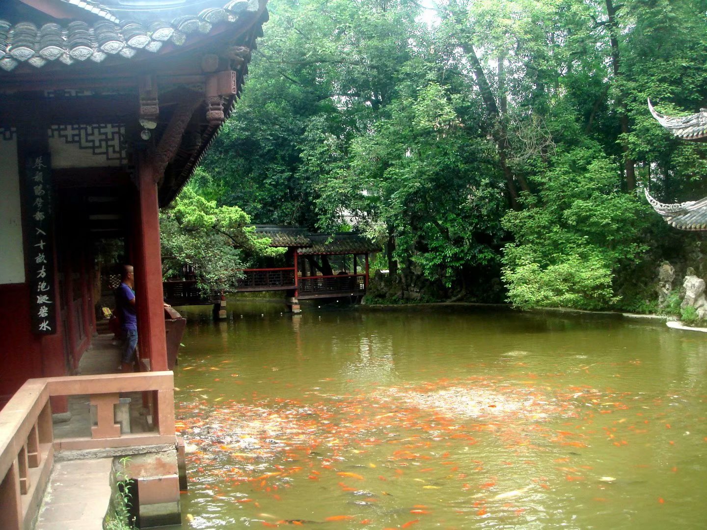 崇州罨畫池博物館留蹤之——罨畫池公園圖片88,崇州旅遊景點,風景名勝